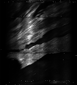 ascat_grayscale_ch3.png